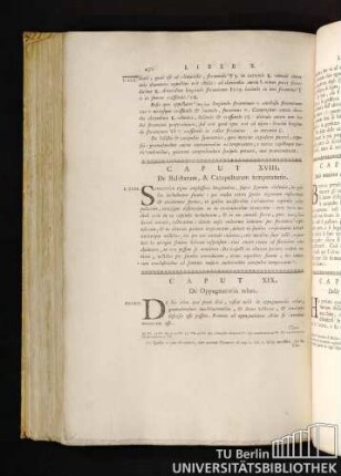Caput XIX. De Oppugnatoriis rebus. Capitolo XIX. Delle Macchine da Oppugnare.