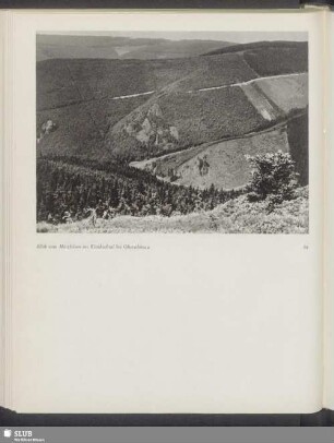Blick vom Möstfelsen ins Kienbachtal bei Oberschönau