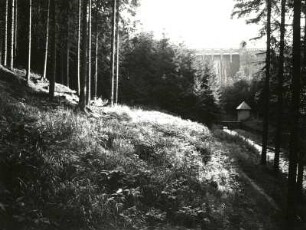 Untere Lautenbachsperre : Westerzgebirge. Untere Lautenbachsperre (auch "Untere Talsperre Neunzehnhain", an linkem Flöha-Zufluss) südwestlich Lengefeld. Blick aus dem Bornwald (von Südosten) auf Pegelhäuschen und Staumauer