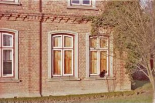 Altenfelde 3: giebelständiges Bauernhaus aus Backstein: Straßenfront Wohntrakt, Teilansicht: Gesims, Lisene, Segmentbogenfenster, auf Fensterbank Katze