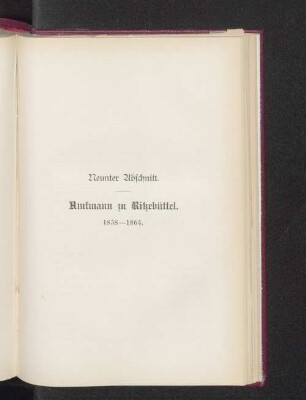 Neunter Abschnitt. Amtmann in Rikebüttel. 1858-1864.