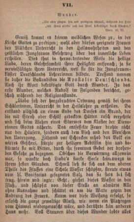 VII. Wunder