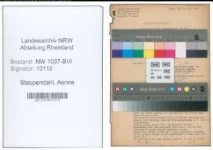 Entnazifizierung Aenne Staupendahl , geb. 18.02.1889 ()