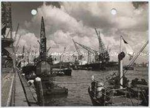 Rotterdam, Schiehaven