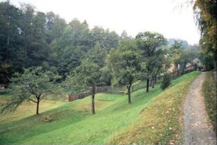 Fahrweg oberhalb Hang, Terrassen, Obstbäume, Gärten