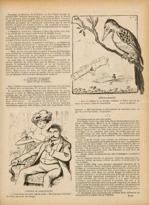 Patriote et apoplectique; Aéroplanomanie