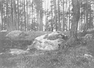 Kamm der Endmoräne am Enzigsee bei Nörenberg in Pommern : Geologie | Geologische Charakterbilder | Die Endmoränen im norddeutschen Flachlande