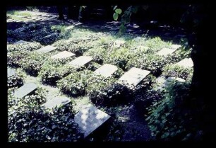 Friedhof Brüdergemeinde 23.5.64.