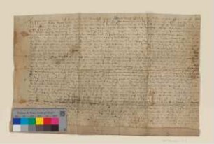 Caspar von Uchtenhagen zu Freienwalde erneuert die dem Schneidergewerk der Stadt Bad Freienwalde erteilten Artikel.