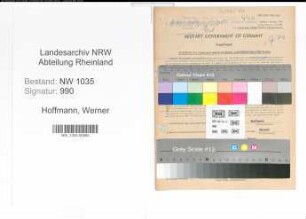 Entnazifizierung Werner Hoffmann , geb. 01.02.1901 (Betriebsdirektor)