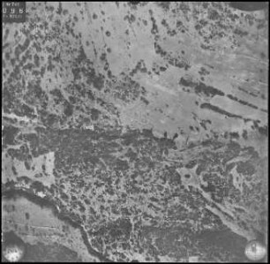Aufnahme 018