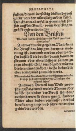 Von den Brüsten