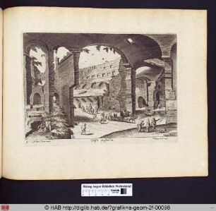Colisei prospectus