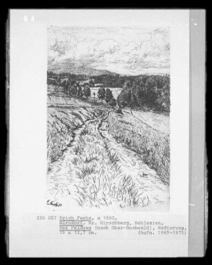 Der Feldweg (nach Ober-Buchwald)