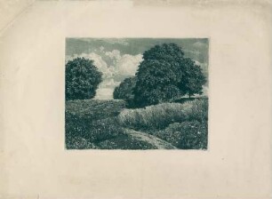 Wiesenlandschaft