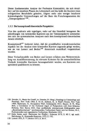 1.3.2 Die konzeptionell-theoretische Perspektive