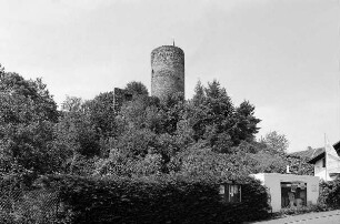 Burg Altweilnau (Burg); Weilrod, Burgruine
