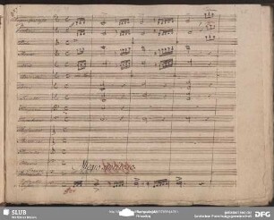 Quartetto: "Conteggiate si ho capito"