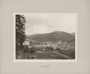 Blick auf Todtmoos im Schwarzwald