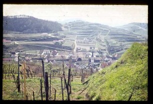 Blick auf Bickensohl