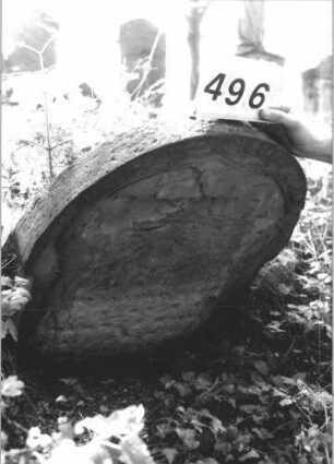 Grabstein 496