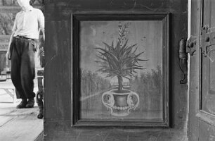 Holzfeld Nr. 63, Agave in blauem Topf