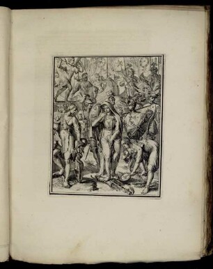 [Abbildung] No. 48