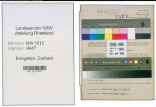 Entnazifizierung Gerhard Bringsken , geb. 11.11.1900 (Angestellter)