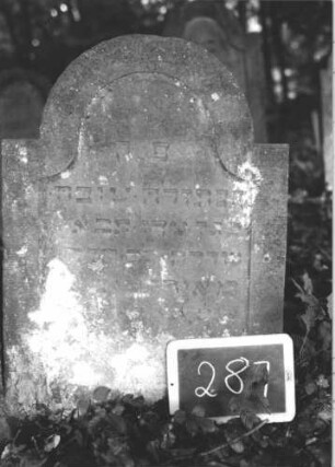 Grabstein 287 (Index: 99894596) Material: Sandstein Zustand: leicht verwittert und bewachsen Maße HxBxT: 83x56x8 cm Beschreibung: Stele mit eingezogenem Rundbogenabschluss: Grabstein 287