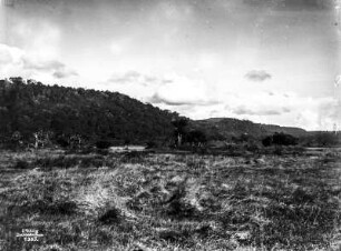 Savanne mit Grasvegetation : Blick auf eine Savanne mit Grasvegetation. Im Hintergrund vermutlich Miombo-Wälder