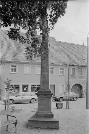 Belgern