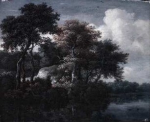 Ein Fluß am Waldrand