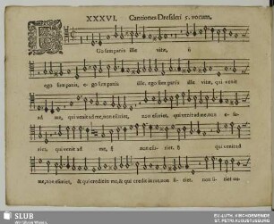 XXXVI. Ego sum panis ille vitae