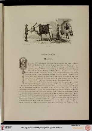 VII. Madras