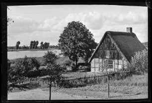 Schleswig-Holstein (vermutlich). Fachwerkhaus mit Reetdach, Rundbogenfester und großem Kastanienbaum