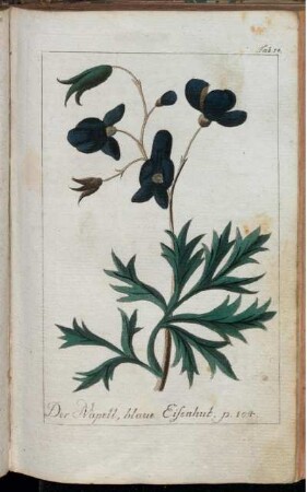 Tab. 14. Der Napell, blaue Eisenhut.