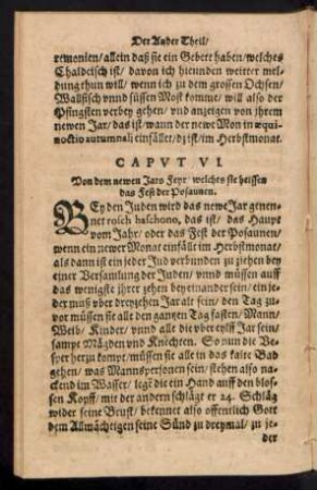 Caput VI. Von dem newen Jars Feyr ...