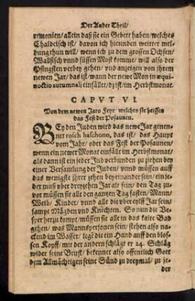 Caput VI. Von dem newen Jars Feyr ...