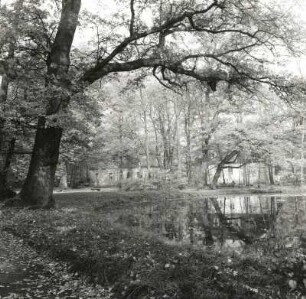 Schlosspark, Neschwitz