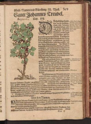 Sanct Johannes, Treubel, Cap. XXII