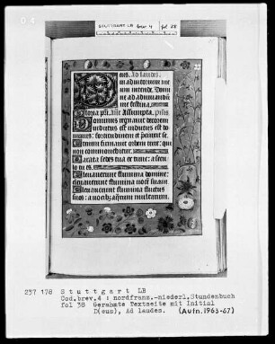Stundenbuch — Initiale D (eus) und Vollbordüre, Folio 38recto