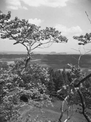 Cotta, Landschaft : Cotta. Blick von Cottaer Spitzberg nach Osten. Hinten Lilienstein und Königstein