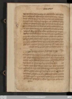 הפטרה] דאַתֶּם נִצָּבִים ישעיה סימן סב׳...] [Jesaja 61, 9 – 63,9]