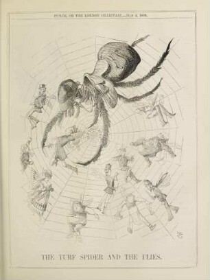 The turf spider and the flies