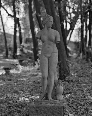 Venus?