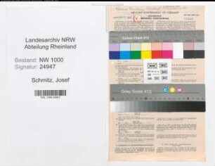 Entnazifizierung Josef Schmitz, geb. 16.08.1907 (Buchhalter)