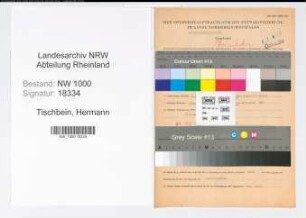 Entnazifizierung Hermann Tischbein, geb. 29.01.1911 (Beamter)