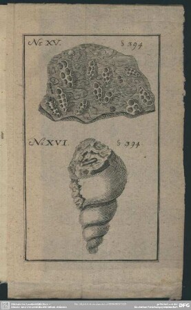 No. XV. S. 394; No. XVI. S. 394