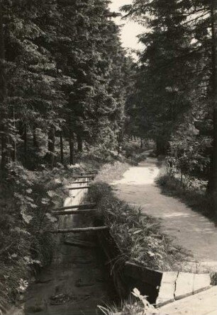Zinnwald. Aschergraben