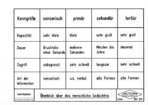 Überblick über das menschliche Gedächtnis